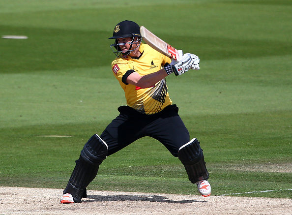 Bailey in Sussex colours