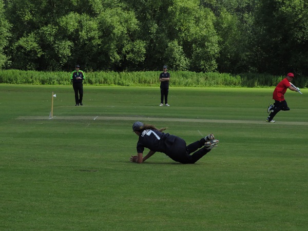 sussex fielding